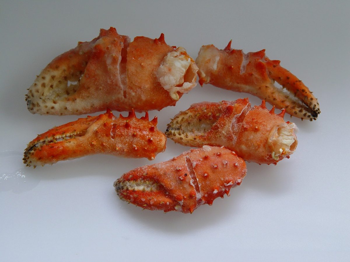 Cooked Chilean king crab claws on a white background.